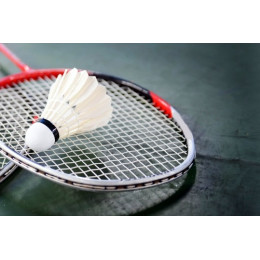 Сетка бадминтона профессиональная с тросом